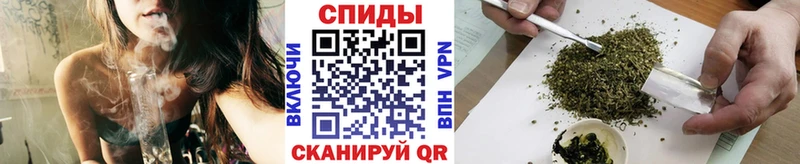 Купить где  Катайск  Бутират BDO 33% 