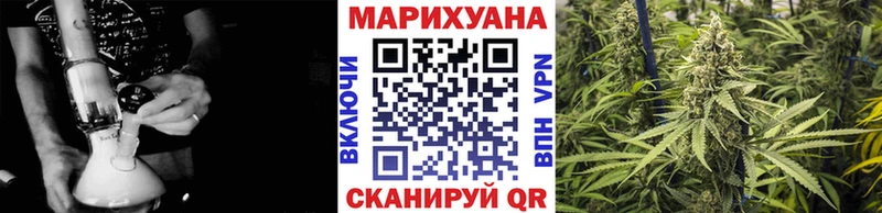 Купить где  Катайск  Бошки марихуана индика 